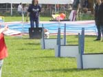 Flyball 092
