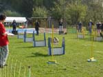 Flyball 096