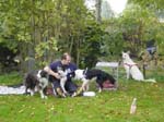 Flyball 097