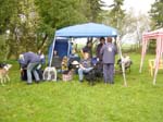 Flyball 099