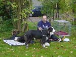 Flyball 100