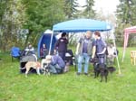 Flyball 101
