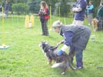 Flyball 107