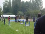 Flyball 108