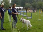 Flyball 111