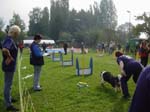 Flyball 117