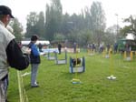Flyball 118