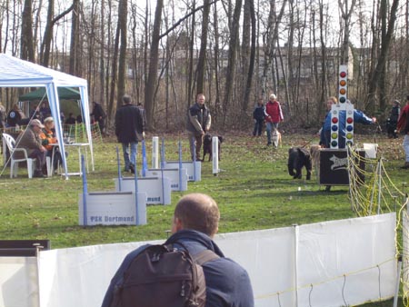 Flyball Dortmund 02042006 011