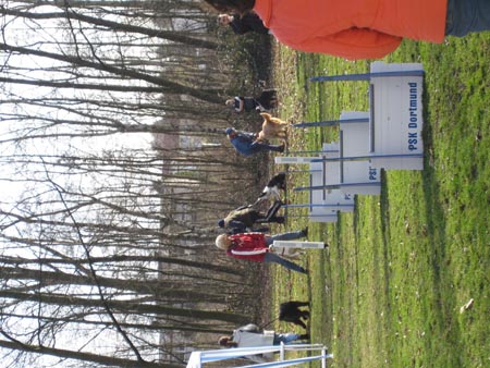 Flyball Dortmund 02042006 015