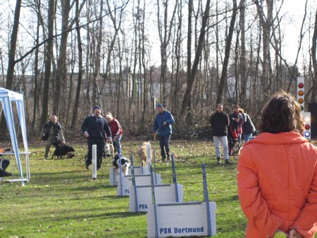 Flyball Dortmund 02042006 018