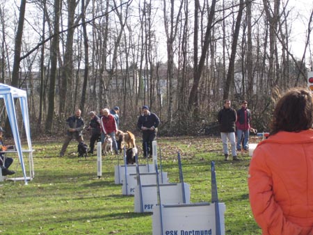 Flyball Dortmund 02042006 019