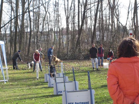 Flyball Dortmund 02042006 020