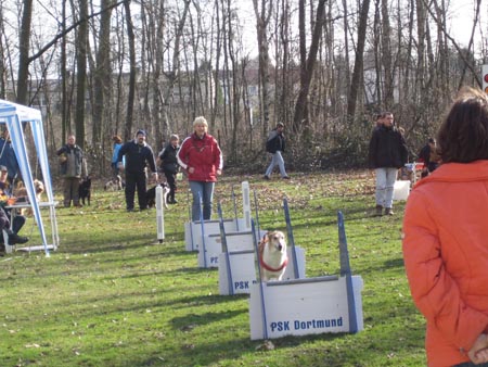 Flyball Dortmund 02042006 021