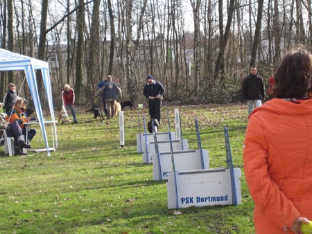 Flyball Dortmund 02042006 023