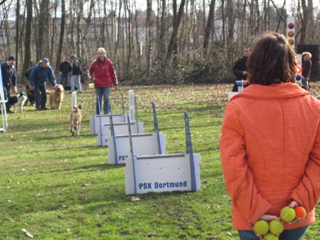 Flyball Dortmund 02042006 024