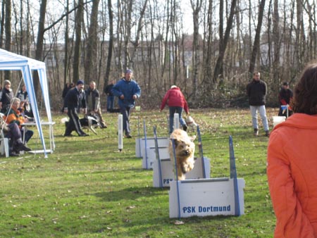 Flyball Dortmund 02042006 026