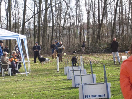 Flyball Dortmund 02042006 029