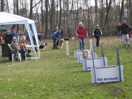 Flyball Dortmund 02042006 035