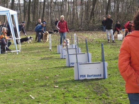 Flyball Dortmund 02042006 036