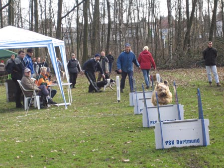 Flyball Dortmund 02042006 037