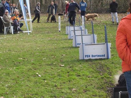 Flyball Dortmund 02042006 038
