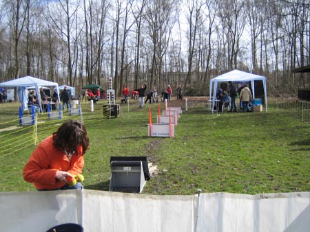 Flyball Dortmund 02042006 040