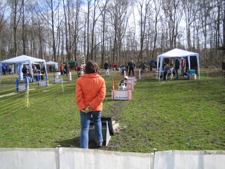 Flyball Dortmund 02042006 045