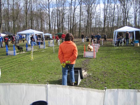 Flyball Dortmund 02042006 050