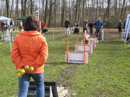 Flyball Dortmund 02042006 055