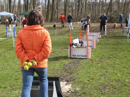 Flyball Dortmund 02042006 056