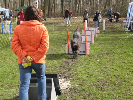 Flyball Dortmund 02042006 057