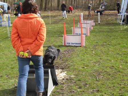 Flyball Dortmund 02042006 058