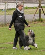 Ein Bild, das Gras, Zaun, drauen, Hund enthlt.

Automatisch generierte Beschreibung