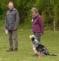 Ein Bild, das Gras, Hund, Baum, drauen enthlt.

Automatisch generierte Beschreibung