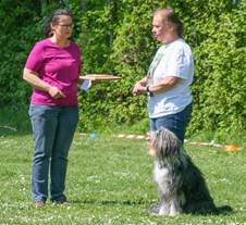 Ein Bild, das Gras, drauen, Baum, Hund enthlt.

Automatisch generierte Beschreibung