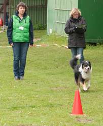 Ein Bild, das Gras, Hund, drauen, Person enthlt.

Automatisch generierte Beschreibung