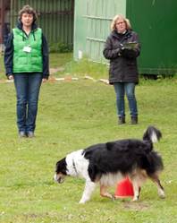 Ein Bild, das Gras, Hund, drauen, Sugetier enthlt.

Automatisch generierte Beschreibung